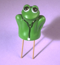 Dr. Frog photo