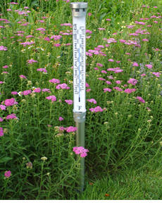 Sol-Mate&reg; Jumbo Garden Thermometer