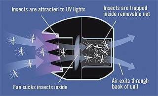 LED Bug Trap in use